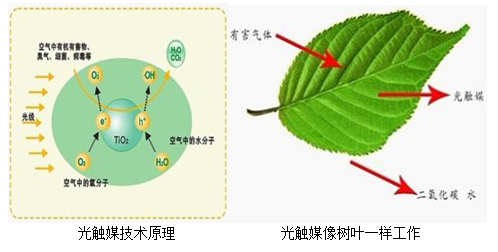 懷化市澤源俊鵬環(huán)?？萍加邢挢?zé)任公司,懷化室內(nèi)空氣污染檢測,懷化空氣污染治理,室內(nèi)環(huán)境凈化,空氣治理公司,俊鵬環(huán)保